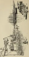 An illustration from The shores of the Adriatic, the Austrian side : the Küstenlande, Istria, and Dalmatia (1908)