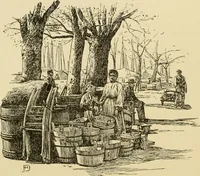 An illustration from The shores of the Adriatic, the Austrian side : the Kèustenlande, Istria, and Dalmatia (1908)