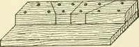 An illustration from A shorter course in woodworking; a practical manual for home and school (1911)