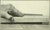An illustration from A shorter course in woodworking; a practical manual for home and school (1911)