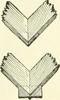 An illustration from A shorter course in woodworking; a practical manual for home and school (1911)