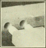 An illustration from A shorter course in woodworking; a practical manual for home and school (1911)