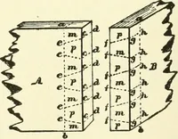 An illustration from A shorter course in woodworking; a practical manual for home and school (1911)