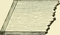 An illustration from A shorter course in woodworking; a practical manual for home and school (1911)