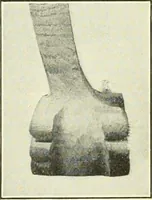An illustration from A shorter course in woodworking; a practical manual for home and school (1911)