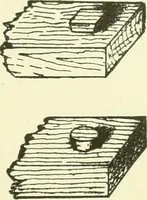 An illustration from A shorter course in woodworking; a practical manual for home and school (1911)