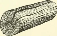 An illustration from A shorter course in woodworking; a practical manual for home and school (1911)