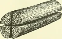 An illustration from A shorter course in woodworking; a practical manual for home and school (1911)