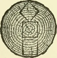 An illustration from A shorter course in woodworking; a practical manual for home and school (1911)