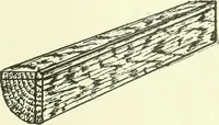 An illustration from A shorter course in woodworking; a practical manual for home and school (1911)