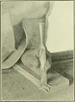 An illustration from A shorter course in woodworking; a practical manual for home and school (1911)