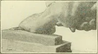 An illustration from A shorter course in woodworking; a practical manual for home and school (1911)