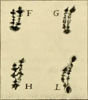 An illustration from A short history of astronomy (1898)