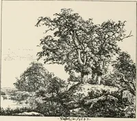 An illustration from A short history of engraving [and] etching : for the use of collectors and students; with full bibliography, classified list and index of engravers (1908)