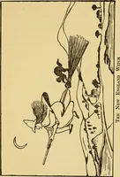 Picture 3 of 16 from A short history of the Salem village witchcraft trials : illustrated by a verbatim report of the trial of Mrs. Elizabeth Howe (1911), leaf 20