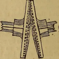 An illustration from A short treatise on the designing and construction of gearing and mill-work. Accompanied by an explanation of the construction and use of the odontograph of Prof. Willis .. (1873)