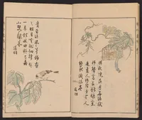 An illustration from Shūchin gajō (1803)