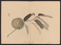 An illustration from Shūga hyakudai (1898)