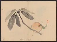An illustration from Shūga hyakudai (1898)