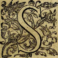 An illustration from Sicilia et Magna Graecia, sive, Historiae vrbivm et popvlorvm Graeciae ex antiqvis nomismatibvs liber primus[-secundus] (1644)