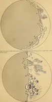An illustration from The sidereal messenger of Galileo Galilei and a part of the preface to Kepler's Dioptrics containing the original account of Galileo's astronomical discoveries (1880)
