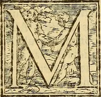 An illustration from Sidereus nuncius : magna, longeque admirabilia spectacula pandens, suspiciendaque proponens vnicuique, praesertim verò philosophis, atq[ue] astronomis, quae à Galileo Galileo ... perspicilli nuper à se reperti beneficio sunt obseruata in lunae facie, fixis innumeris, lacteo circulo, stellis nebulosis, apprime verò in quatuor planetis circa Iouis stellam disparibus interuallis, atque periodis, celeritate mirabili circumuolutis; quos, nemini in hanc vsque diem cognitos, nouissimè author depraehendit primus; atque Medicea sidera nuncupandos decreuit (1610)