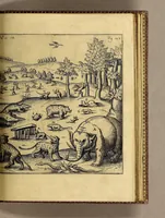 Picture 4 of 7 from Siebende Schiffahrt in das Goldreiche Königreich Guineam, in Africa gelegen, : so sonsten das Goldgestadt von Mina genan[n]t wird, welches von den Portugalesern vngefähr vor 200. Jahren erfunden, von den Holländern jnnerhalb 18. Jahren hero bekannt gemacht vnnd frequentirt, jetzt aber von ihnen erst recht erkündigt, vnnd in niderländischer Sprach beschrieben, da sie mit zweyen Schiffen auss demselben Lande Anno 1602. widerumb in Hollande ankommen. (1624), leaf 181