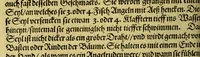 An illustration from Siebende Schiffahrt in das Goldreiche Königreich Guineam, in Africa gelegen, : so sonsten das Goldgestadt von Mina genan[n]t wirdt, welches von den Portugalesern vngefähr vor 200. Jahren erfunden, von den Holländern innerhalb 18. Jahren hero bekannt gemacht vnd frequentirt, jetzt aber von ihnen erst recht erkündigt, vnd in niderländischer Sprach beschrieben, da sie mit zweyen Schiffen auss demselben Lande Anno 1602. widerumb in Hollande ankommen. (1606)