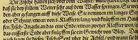 An illustration from Siebende Schiffahrt in das Goldreiche Königreich Guineam, in Africa gelegen, : so sonsten das Goldgestadt von Mina genan[n]t wirdt, welches von den Portugalesern vngefähr vor 200. Jahren erfunden, von den Holländern innerhalb 18. Jahren hero bekannt gemacht vnd frequentirt, jetzt aber von ihnen erst recht erkündigt, vnd in niderländischer Sprach beschrieben, da sie mit zweyen Schiffen auss demselben Lande Anno 1602. widerumb in Hollande ankommen. (1606)