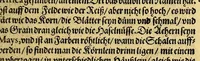 An illustration from Siebende Schiffahrt in das Goldreiche Königreich Guineam, in Africa gelegen, : so sonsten das Goldgestadt von Mina genan[n]t wirdt, welches von den Portugalesern vngefähr vor 200. Jahren erfunden, von den Holländern innerhalb 18. Jahren hero bekannt gemacht vnd frequentirt, jetzt aber von ihnen erst recht erkündigt, vnd in niderländischer Sprach beschrieben, da sie mit zweyen Schiffen auss demselben Lande Anno 1602. widerumb in Hollande ankommen. (1606)