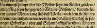 An illustration from Siebende Schiffahrt in das Goldreiche Königreich Guineam, in Africa gelegen, : so sonsten das Goldgestadt von Mina genan[n]t wirdt, welches von den Portugalesern vngefähr vor 200. Jahren erfunden, von den Holländern innerhalb 18. Jahren hero bekannt gemacht vnd frequentirt, jetzt aber von ihnen erst recht erkündigt, vnd in niderländischer Sprach beschrieben, da sie mit zweyen Schiffen auss demselben Lande Anno 1602. widerumb in Hollande ankommen. (1606)