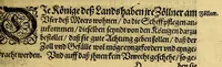 An illustration from Siebende Schiffahrt in das Goldreiche Königreich Guineam, in Africa gelegen, : so sonsten das Goldgestadt von Mina genan[n]t wirdt, welches von den Portugalesern vngefähr vor 200. Jahren erfunden, von den Holländern innerhalb 18. Jahren hero bekannt gemacht vnd frequentirt, jetzt aber von ihnen erst recht erkündigt, vnd in niderländischer Sprach beschrieben, da sie mit zweyen Schiffen auss demselben Lande Anno 1602. widerumb in Hollande ankommen. (1606)