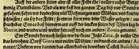 Picture 3 of 15 from Siebenter Theil der Orientalischen Indien, darinnen zwo vnterschiedliche Schiffarten begrieffen. Erstlich eine Dreyjährige Reyse Georgii von Spielbergen Admirals vber drey Schiffe, welche An. 1601. auss Seeland nach den Orientalischen Indien abgefahren, vnd nach viel widerwertigkeiten An. 1604. wider in Seelande ankom[m]en, : darinnen seine gantze, vnd was im für Abentheuer auff derselben begegnet, wie dann auch die mächtige Königreich Matecalo vnnd Candy, sampt ihren prächtigen Königen, Sitten, vnd Ceremonien, verzeichnet vnd beschrieben. Zum andern ein Neunjärige Reyse eines Venetianischen Jubilirers, Casparus Balby genannt, sampt allem, was ime auff derselben von 1579. biss in 1588. begegnet vnd widerfahren, neben Anweisung aller Zöllen, Gewichten, Massen vnd Müntzen deren man sich von Alleppo auss biss ins Königreich Pegu zu Gebrauchen, wie dann auss dess Handels vnd Wandels Lebens Sitten, Ceremonien vnd Gebräuchen der Völcker vnd Eynwohner dess mächtigen Königreichs Pegu. (1605), leaf 76