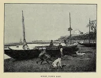Picture 4 of 7 from Sierra Leone after a hundred years (1894), leaf 317