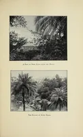 An illustration from Sierra Leone after a hundred years (1894)
