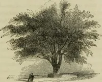 An illustration from Sights in Boston and suburbs, or, Guide to the stranger (1856)