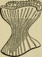 An illustration from Sights in Boston and suburbs, or, Guide to the stranger (1856)