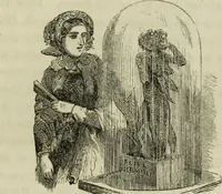 Picture 19 of 108 from Sights in Boston and suburbs, or, Guide to the stranger (1856), leaf 60
