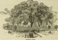 An illustration from Sights in Boston and suburbs, or, Guide to the stranger (1856)