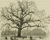 An illustration from Sights in Boston and suburbs, or, Guide to the stranger (1856)