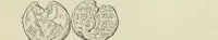 Picture 312 of 625 from Sigillographie de l'Empire byzantin (1884), leaf 374