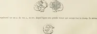 Picture 14 of 625 from Sigillographie de l'Empire byzantin (1884), leaf 39