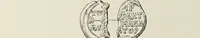 Picture 455 of 625 from Sigillographie de l'Empire byzantin (1884), leaf 547