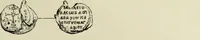 Picture 456 of 625 from Sigillographie de l'Empire byzantin (1884), leaf 550