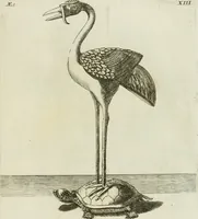 An illustration from Signa antiqua e museo Jacobi de Wilde : veterum poetarum carminibus illustrata et per Mariam filiam aeri inscripta (1700)