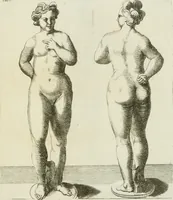 An illustration from Signa antiqua e museo Jacobi de Wilde : veterum poetarum carminibus illustrata et per Mariam filiam aeri inscripta (1700)