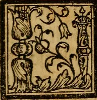 An illustration from Siguense dos coloquios de amores y otro de bie auenturança en el qual se trata en que cõsiste la bienaue turaça desta vida nueuamente compuestos (1536)