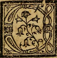 An illustration from Siguense dos coloquios de amores y otro de bie auenturança en el qual se trata en que cõsiste la bienaue turaça desta vida nueuamente compuestos (1536)