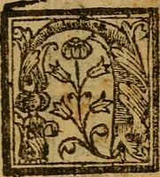 An illustration from Siguense dos coloquios de amores y otro de bie auenturança en el qual se trata en que cõsiste la bienaue turaça desta vida nueuamente compuestos (1536)