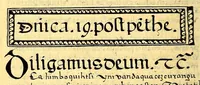 Picture 13 of 20 from Siguense unos breves sermones en la lengua de michuacan para cada domingo del ano fundados sobre un thema aunque por diversas materias, (1559), leaf 214